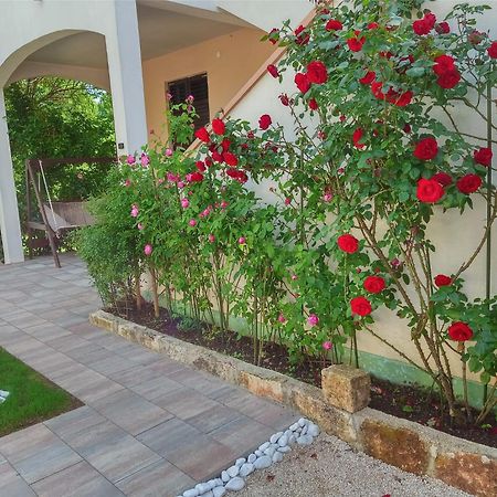 House Mario Near Rovinj Apartment Канфанар Екстериор снимка