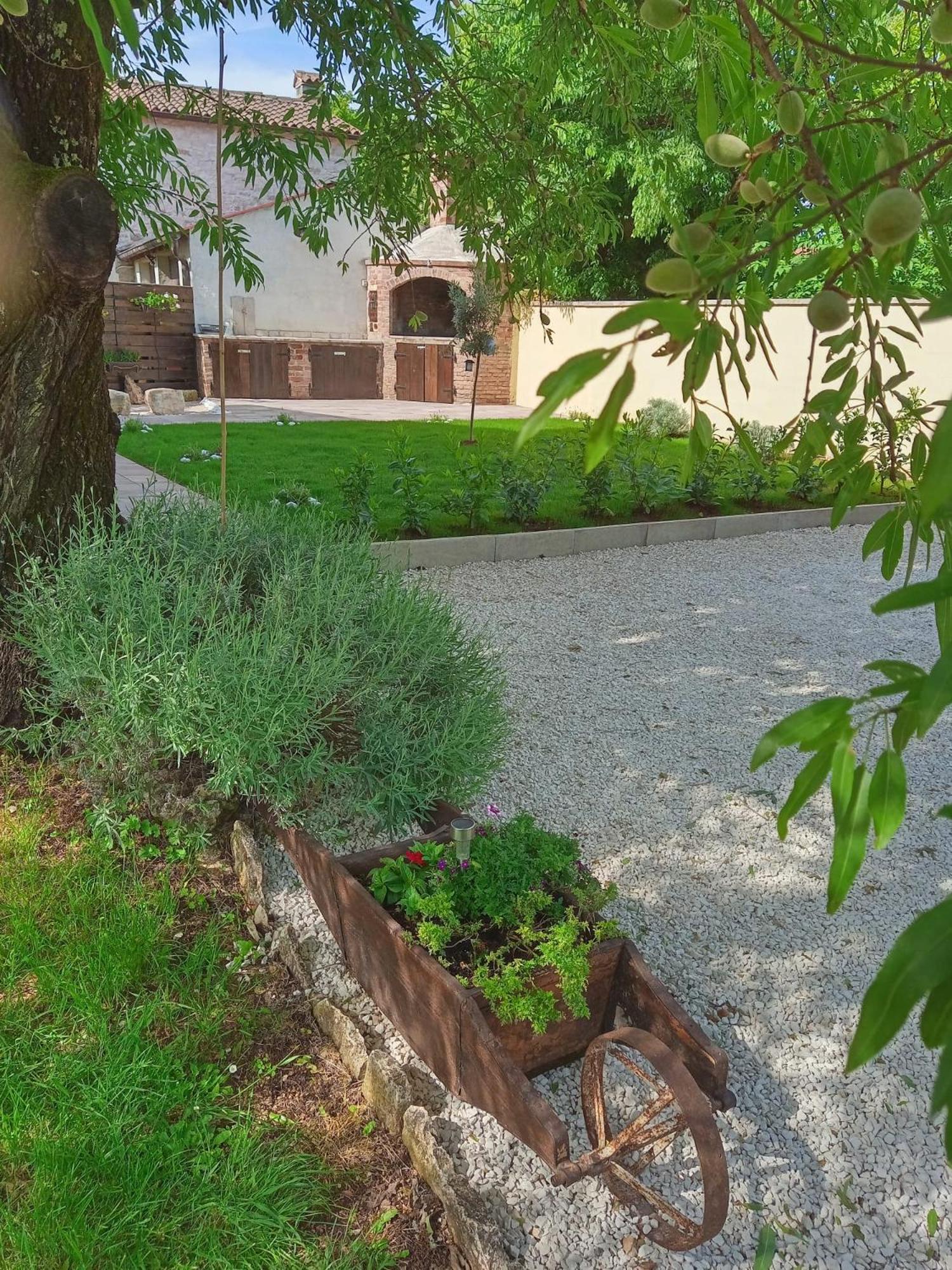 House Mario Near Rovinj Apartment Канфанар Екстериор снимка
